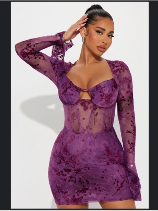 Fashion Nova Dresses & Skirts - Fashion Nova Plum Purple Velvet Burnout Mesh Mini Dress